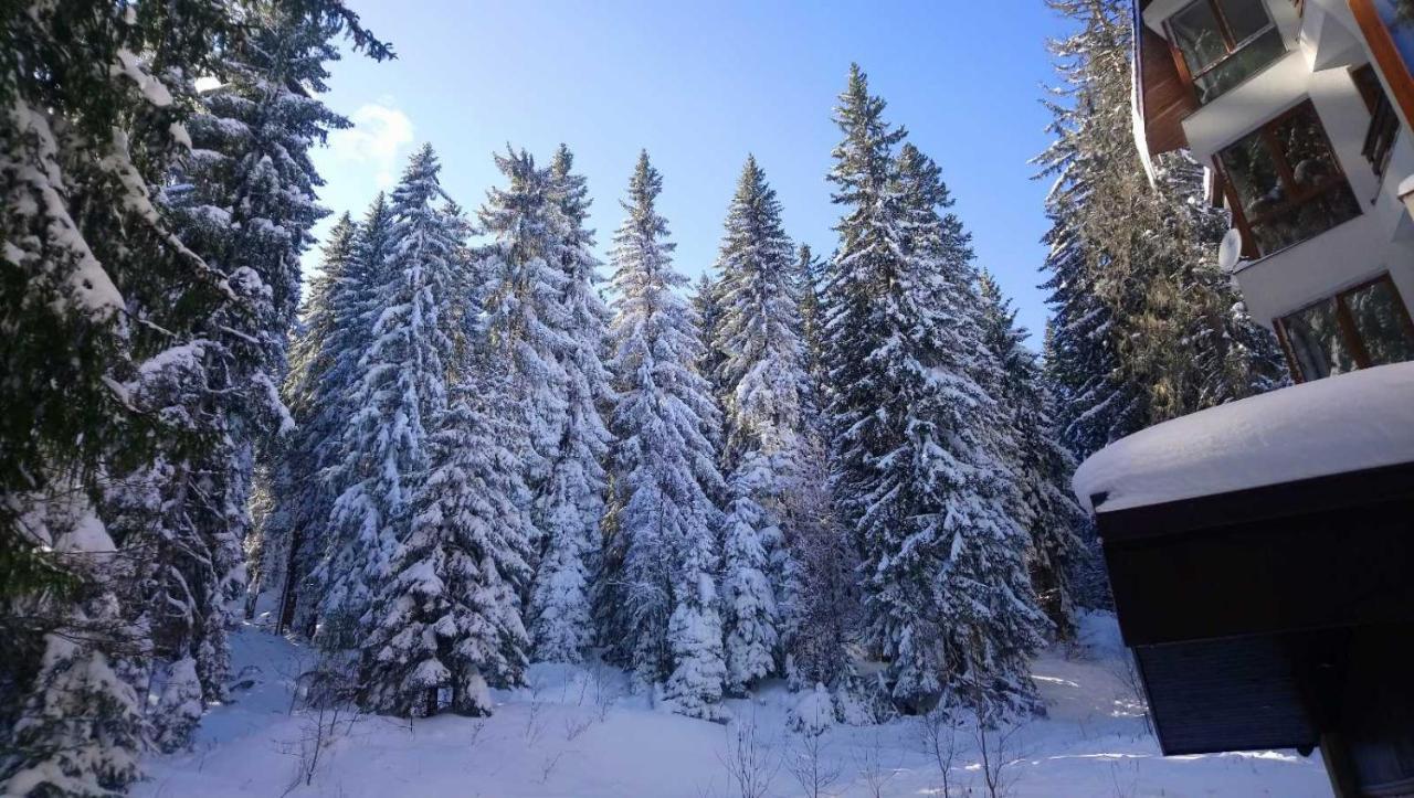 Ski & Holiday Apartments In Pamporovo Exterior foto